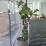 آپارتمان  176 متر مجیدیه و شمس آباد